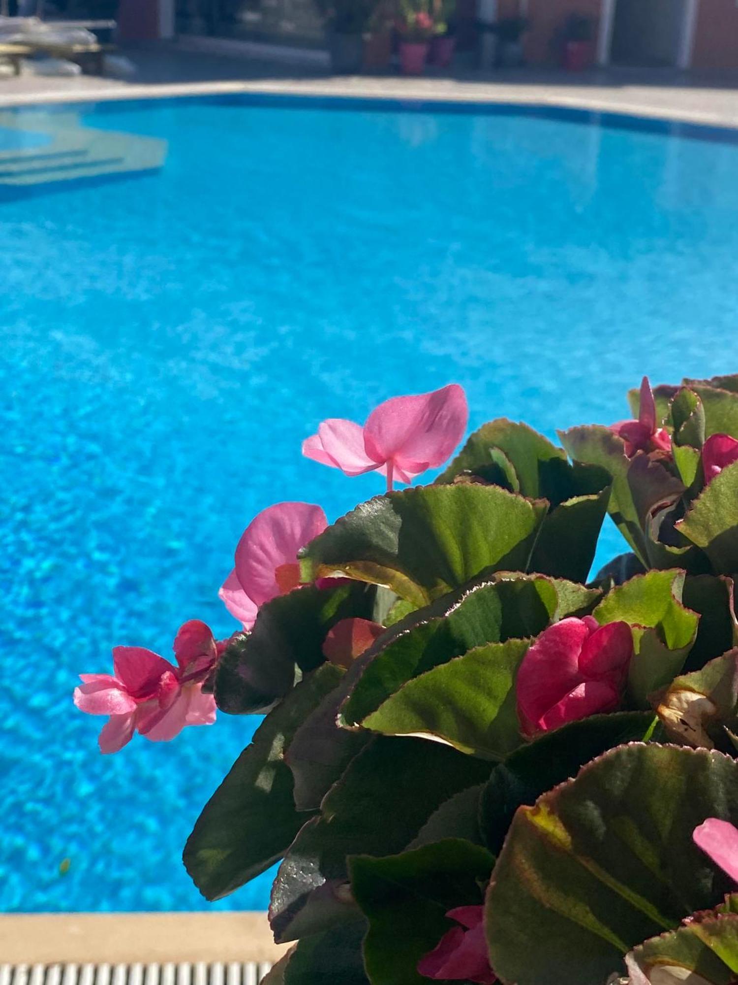 Paradiso Hotel Sea View And Pool Suites Ipsos Corfu Екстер'єр фото